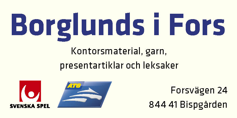 Borglunds i Fors